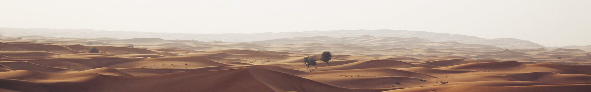 ֣ݵ޹˾